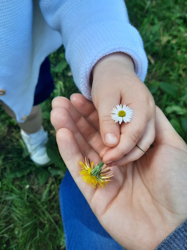 Ma grossesse naturelle - Comment j'ai changé de vie