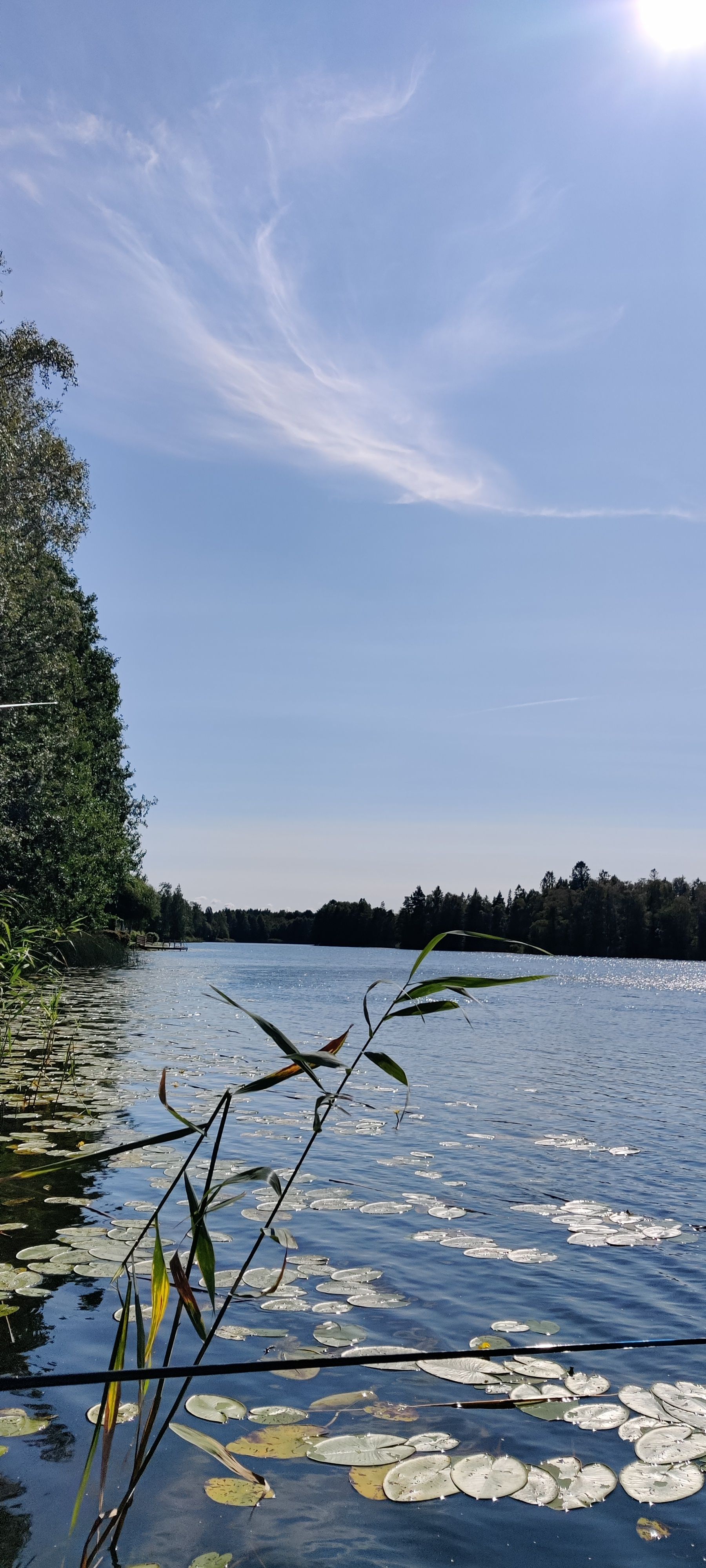Vivre sereinement sa maternité en Suède